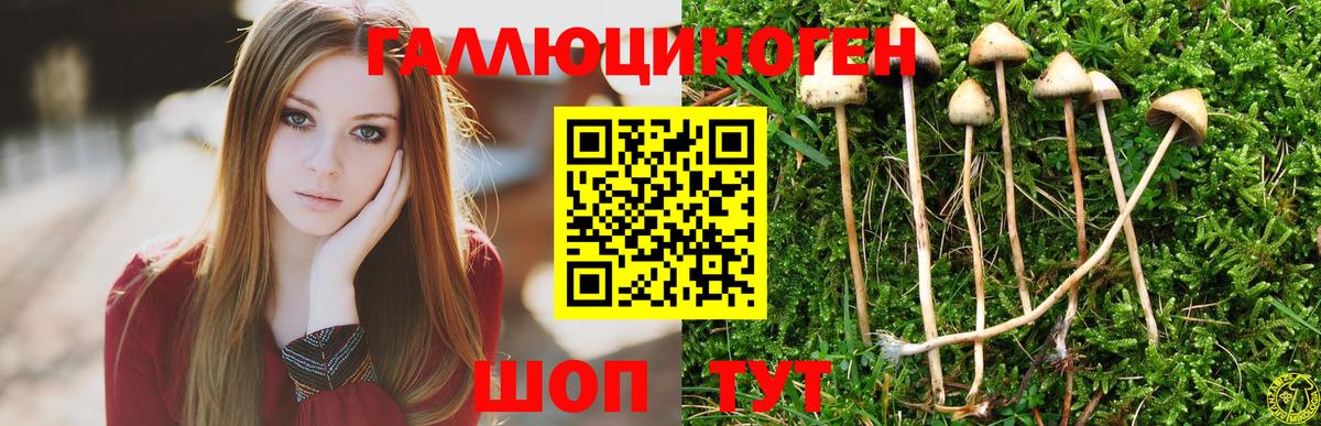 Сибай  Вход с VPN  Меф   Кокаин  Гашиш  МЕТАМФЕТАМИН  Канабис  A-PVP СК  